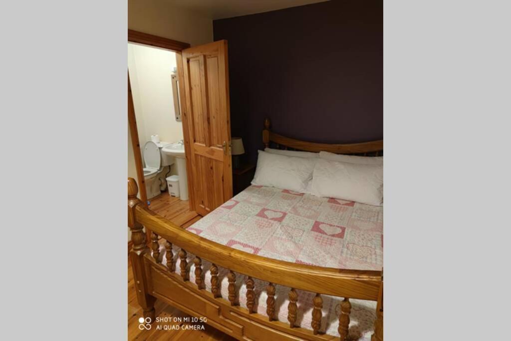 Townhouse 3 Barrow Lane Villa Bagenalstown Exteriör bild