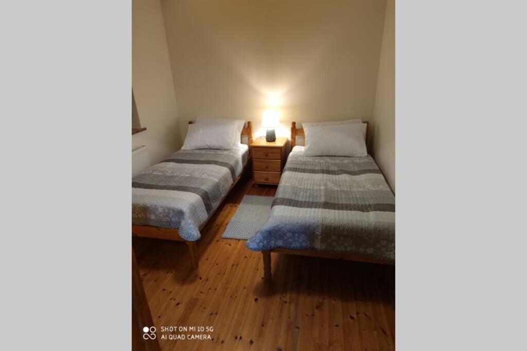 Townhouse 3 Barrow Lane Villa Bagenalstown Exteriör bild