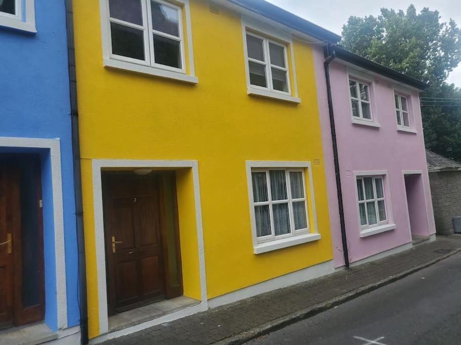 Townhouse 3 Barrow Lane Villa Bagenalstown Exteriör bild